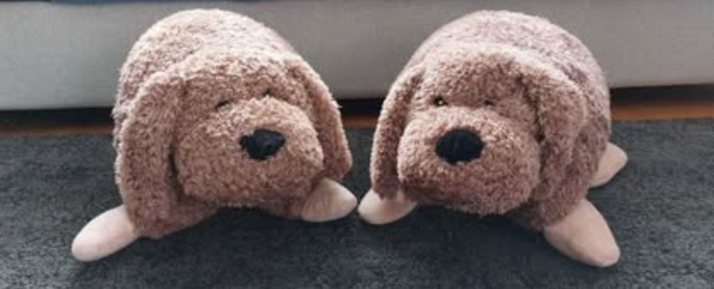 Knuffelkussen hond,  bruin, 2 stuks, Ophalen, Hond, Zo goed als nieuw, Wasbaar