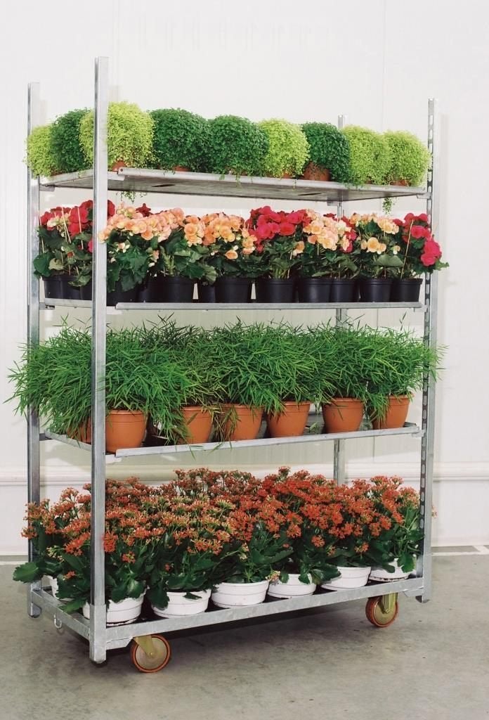 6x SETS deense kar 1350x565 + 1 SET GRATIS