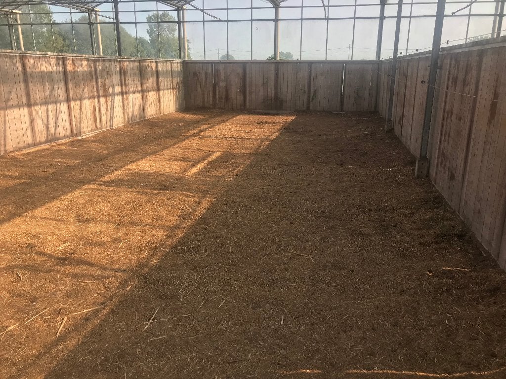 2 stallen beschikbaar te Lier, Animaux & Accessoires, Box & Pâturages, Mise à l'étable, 2 ou 3 chevaux ou poneys