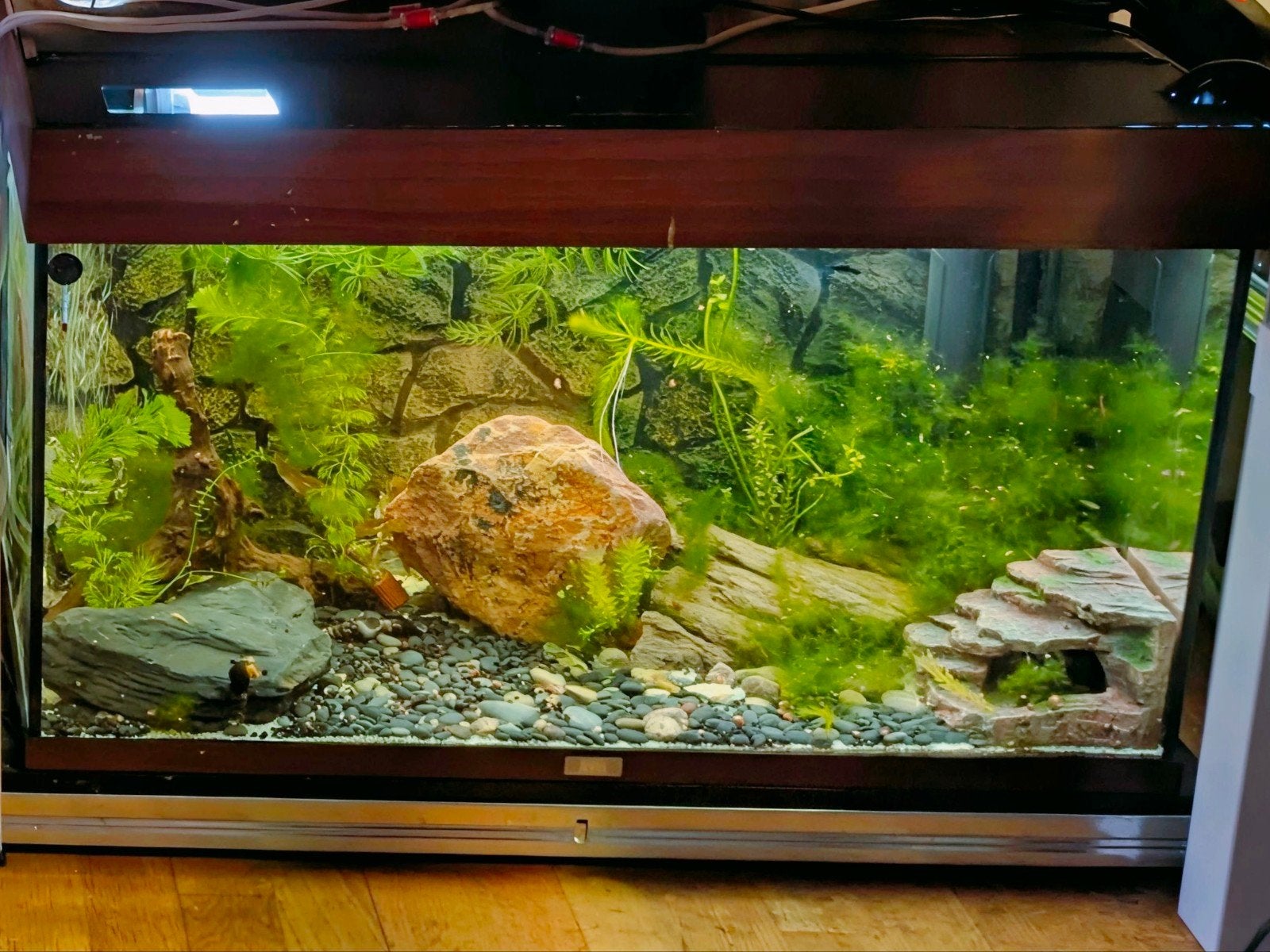 Juwel Rio 125 te koop, Aquarium vide, Enlèvement, Utilisé, Couvercle inclus