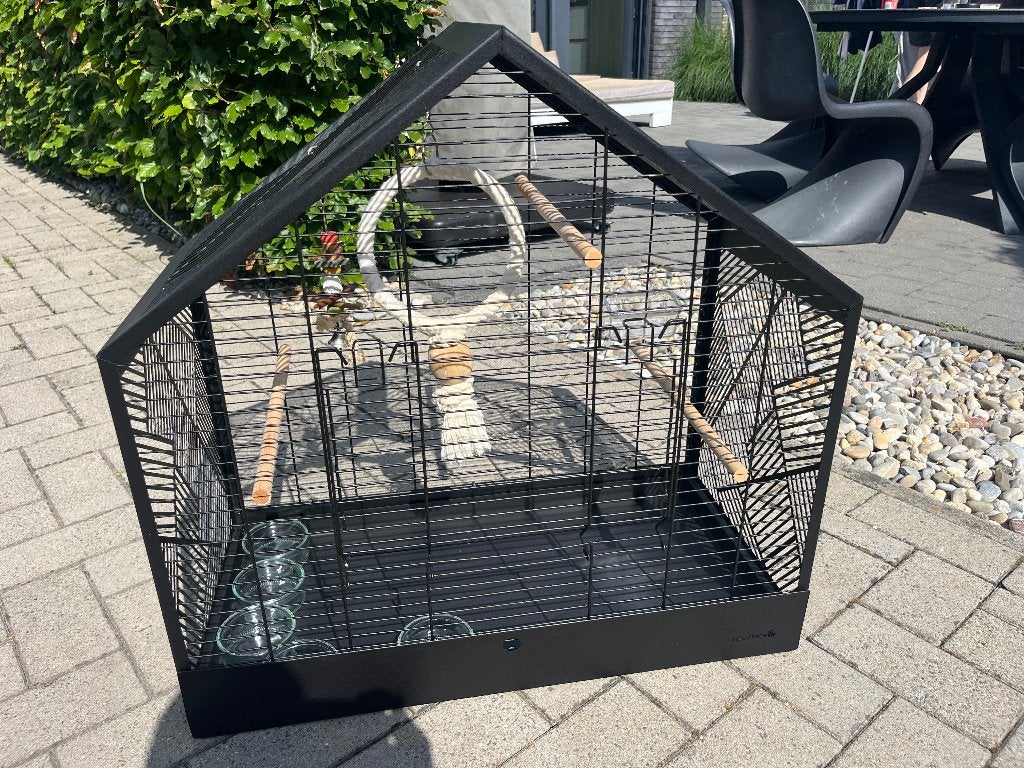 Vogelkooi modern, Animaux & Accessoires, Oiseaux | Cages & Volières, Enlèvement, Comme neuf, Métal, Cage à oiseaux
