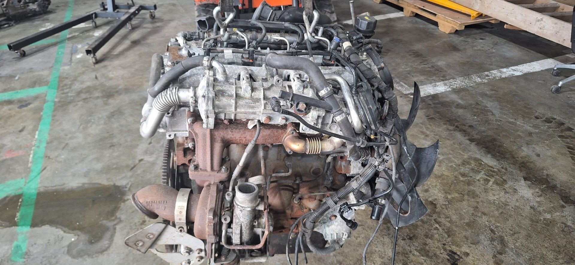 Motor Iveco Daily 2020+ (FPT / EGR-koeler FPT504385699), -, Utilisé, -, -
