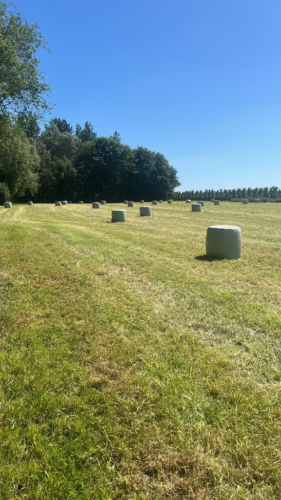 Midibalen voordroog/hooi te koop, Zakelijke goederen, Ophalen