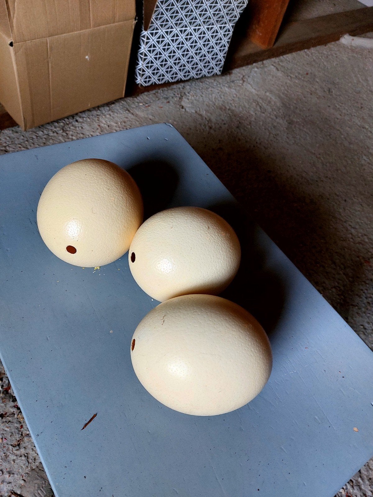 Struisvogeleieren drcoratief, knutselmateriaal, Ophalen