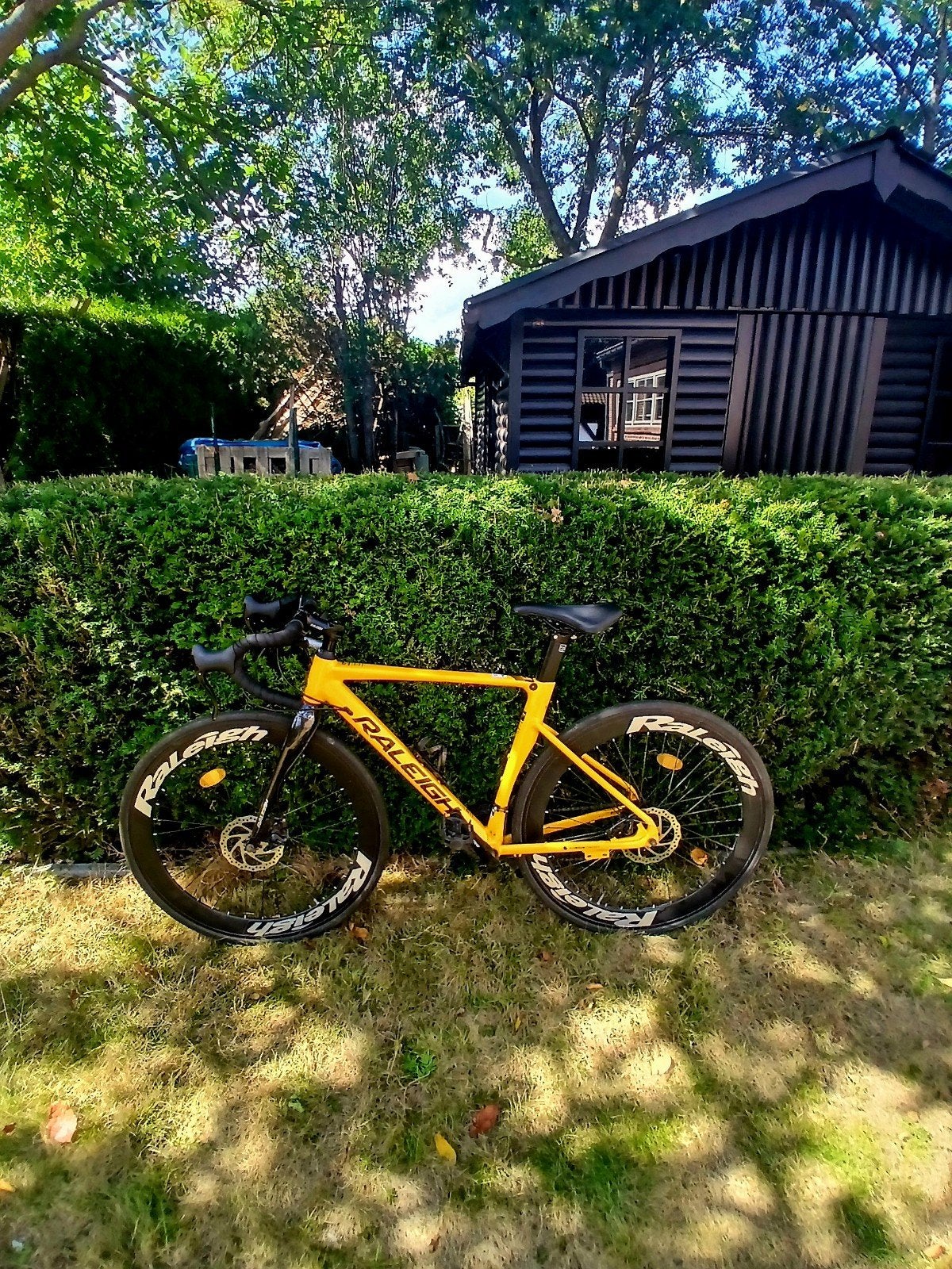 Raleigh koersfiets maat 50-51, Fietsen en Brommers, Fietsaccessoires | Aanhangwagens en Karren, Ophalen, Gebruikt, Minder dan 20 kg