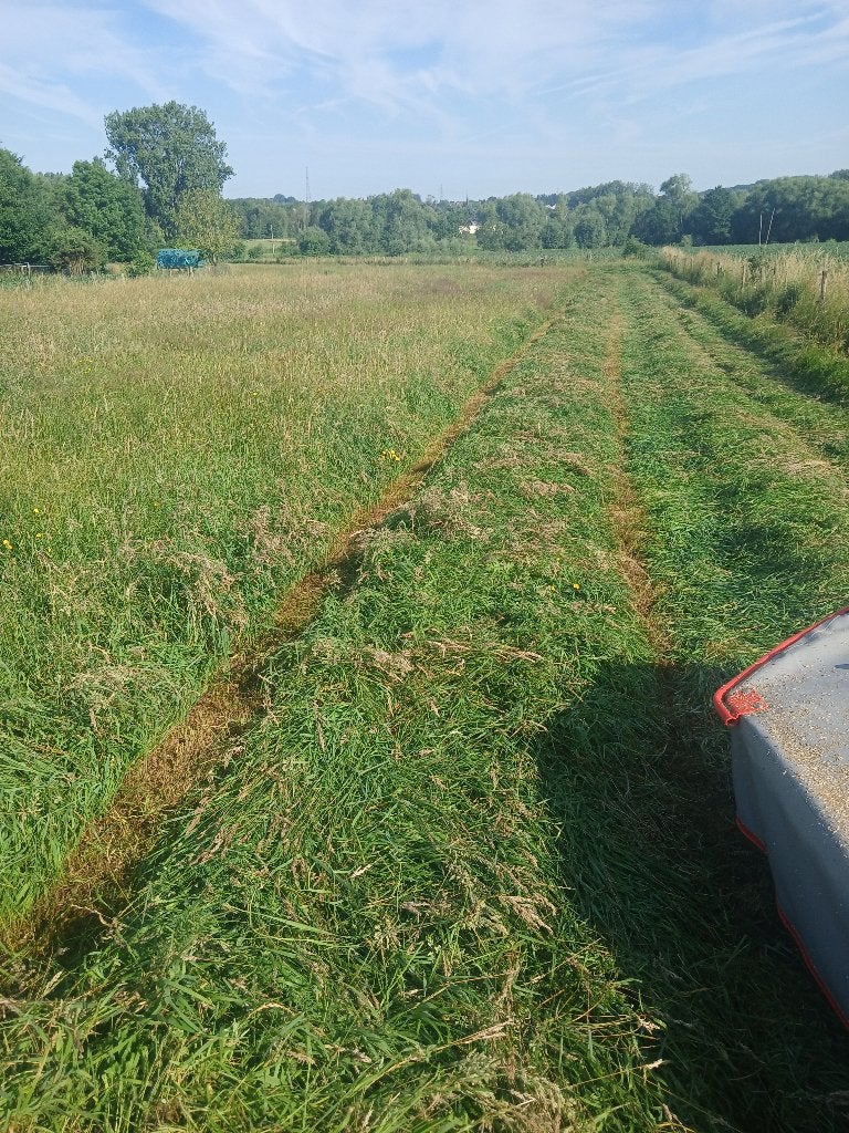 HOOI, Dieren en Toebehoren, Ophalen