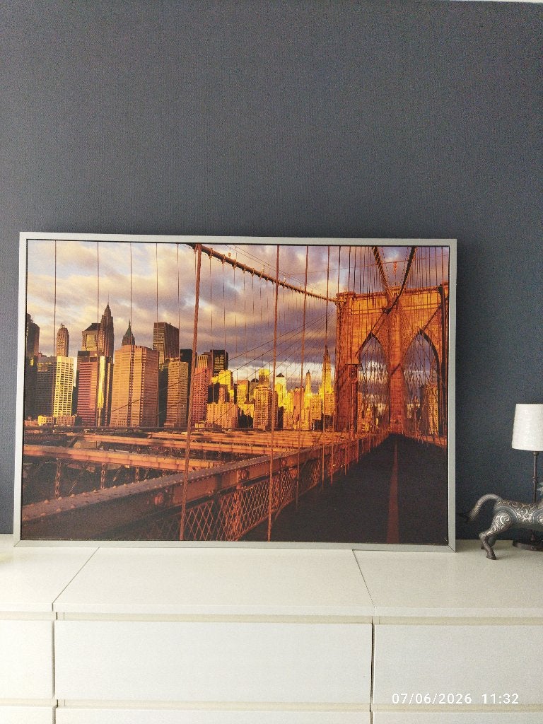 Tableau Pont de Brooklyn, Enlèvement, Utilisé