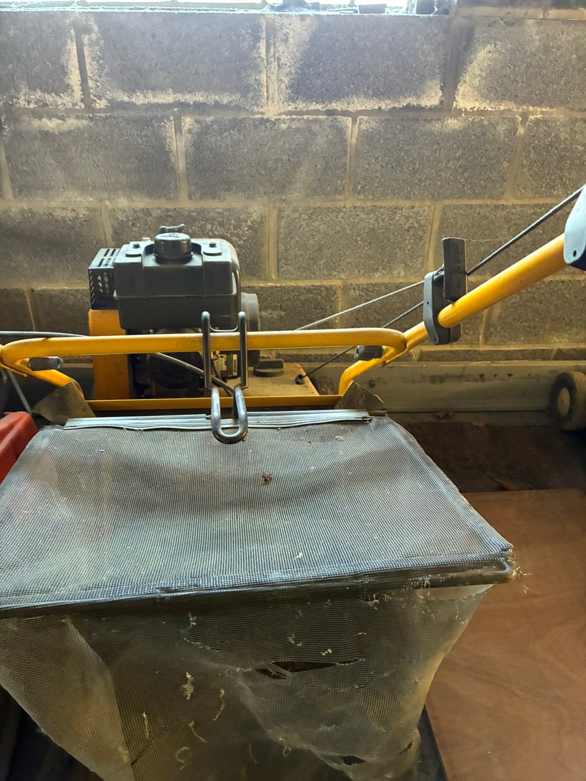 Scarificateur, Antiek en Kunst, Ophalen