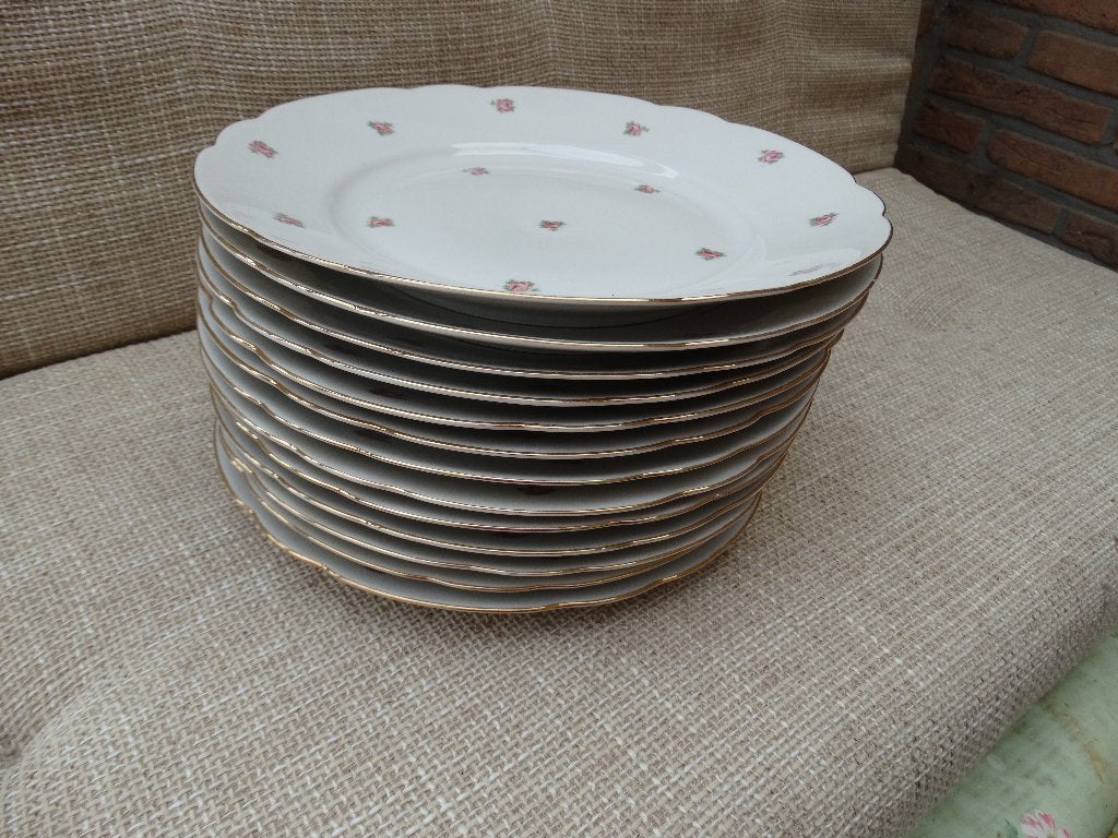 vintage servies wit keramiek met roosjes Johann Seltmann, Ophalen, Gebruikt, Overige merken, Keramiek