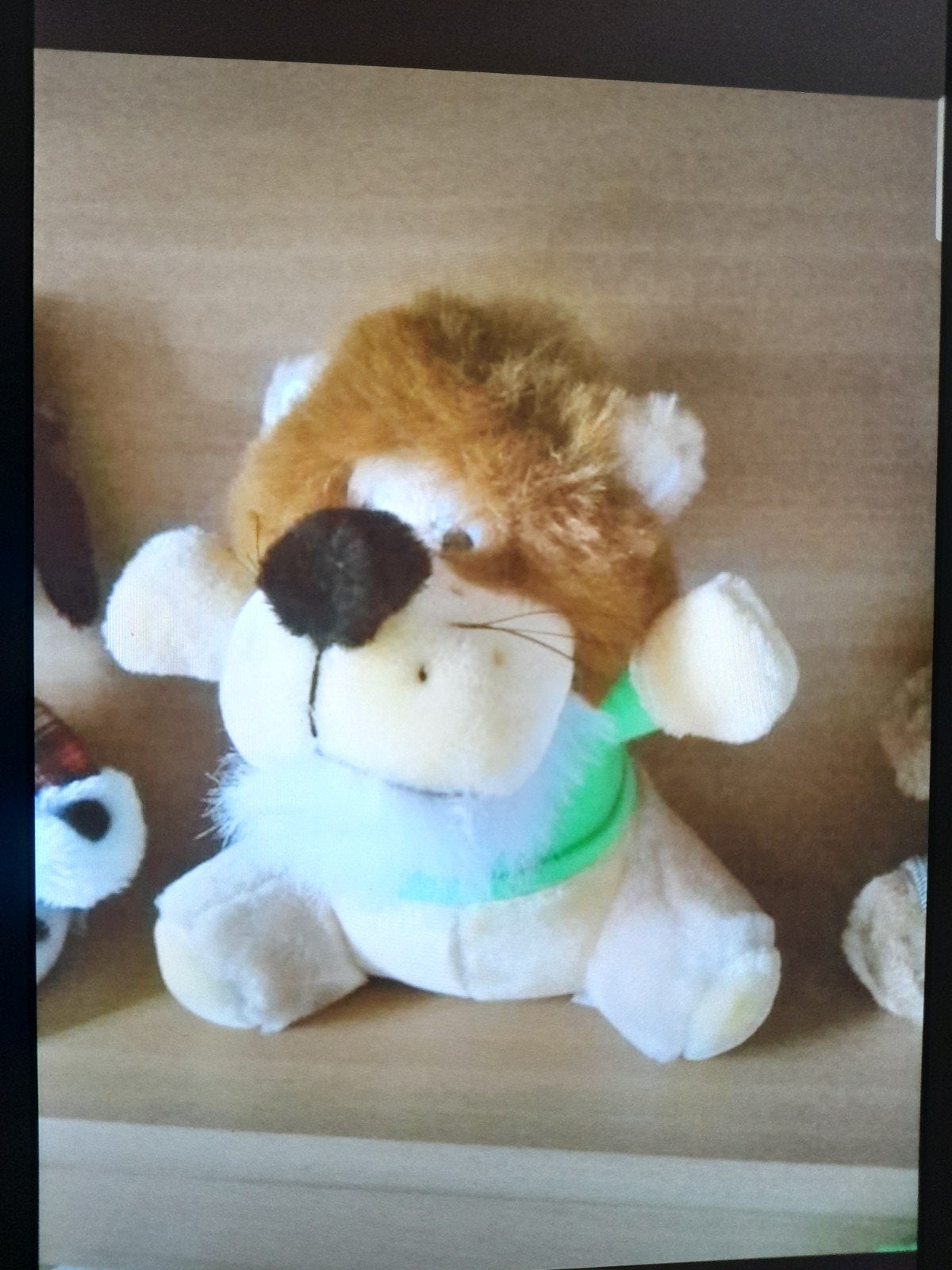 Peluche "Lion" avec pull vert en parfait état, Enfants & Bébés, Jouets | Peluches, Enlèvement ou Envoi, Lavable, Comme neuf, Moyen (20 à 80 cm)
