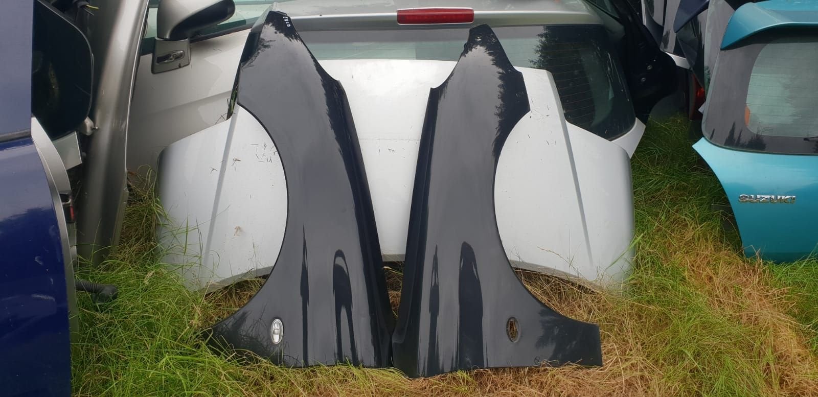 PEUGEOT 206 VOORSCHERMEN CODE EXLD, Auto-onderdelen, Gebruikt, -, -, Ophalen of Verzenden