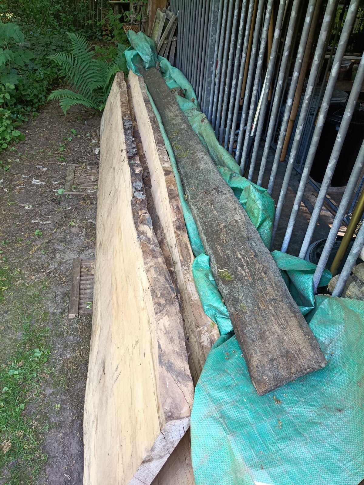 Gezaagde Beuken planken, boomstam, Ophalen, Planken