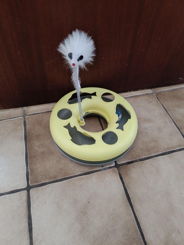 Speeltje, Animaux & Accessoires, Jouets pour chats, Enlèvement
