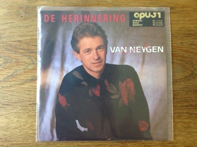 single erik van neygen, 7 inch, Ophalen of Verzenden, Fotohoes, Nederlandstalig