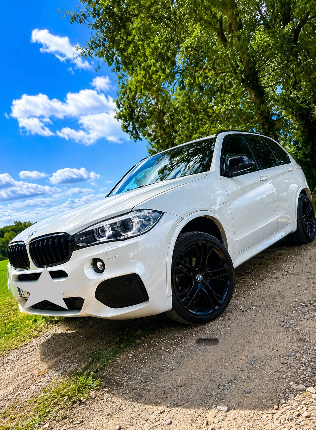 BMW X5 xDrive30d M Sport, Autos, BMW, X5, 4x4, ABS, Caméra de recul, Airbags, Air conditionné, Alarme, Climatisation automatique