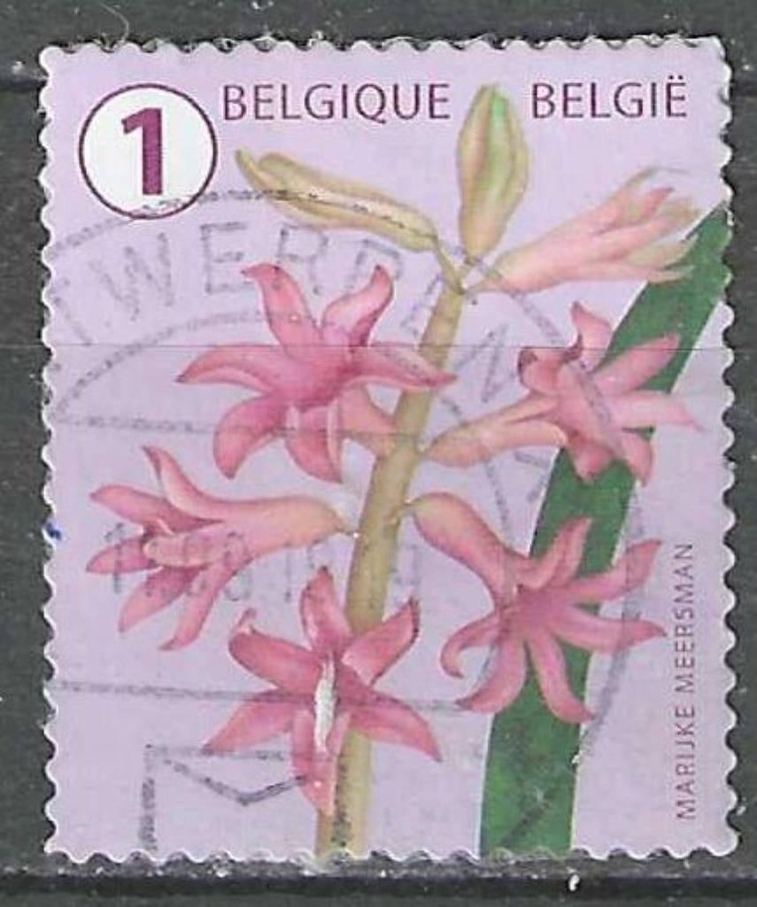 Belgie 2016 - Yvert 4627 /OBP 4656 - Hyacint (ST), Verzenden, Gestempeld, Gestempeld