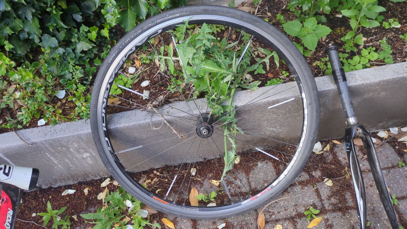 Campagnolo khamsin, voorwiel, Enlèvement