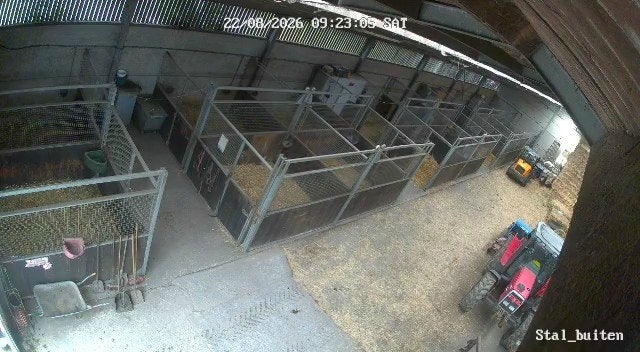 stal en weidegang, Dieren en Toebehoren, Stalling