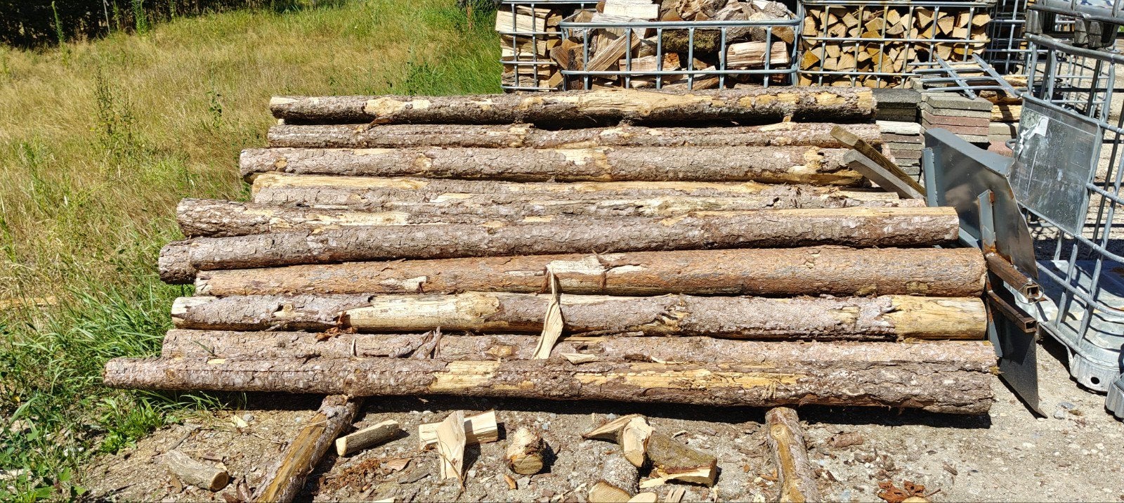 3 stère dennenhout op stam, 3 à 6 m³, Enlèvement ou Envoi, Autres essences de bois, Troncs d'arbres