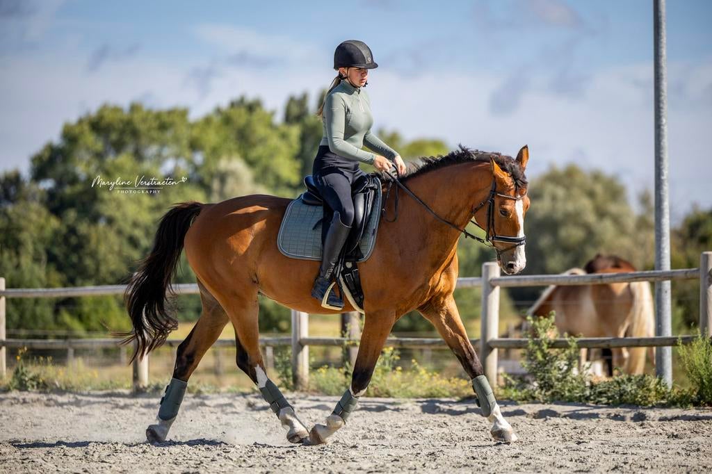 Dressuur paard te koop!, Dieren en Toebehoren, Gechipt, Ruin, Dressuurpaard, Zadelmak