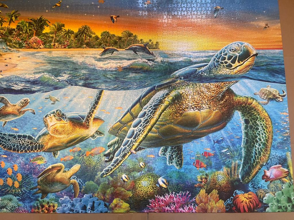 Puzzle de 3000 pièces - Tortue, Enlèvement ou Envoi, Plus de 1 500 pièces, Utilisé, Puzzle