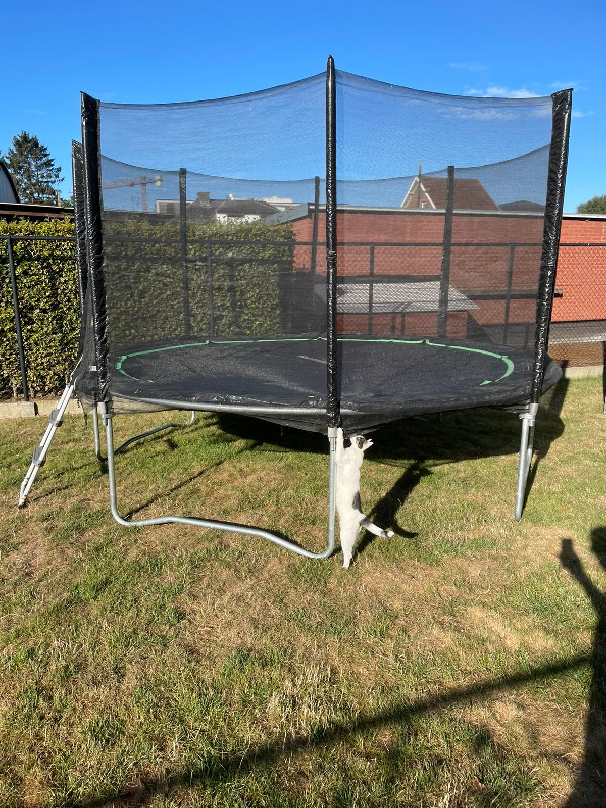 Trampoline 366cm, Ophalen, Gebruikt