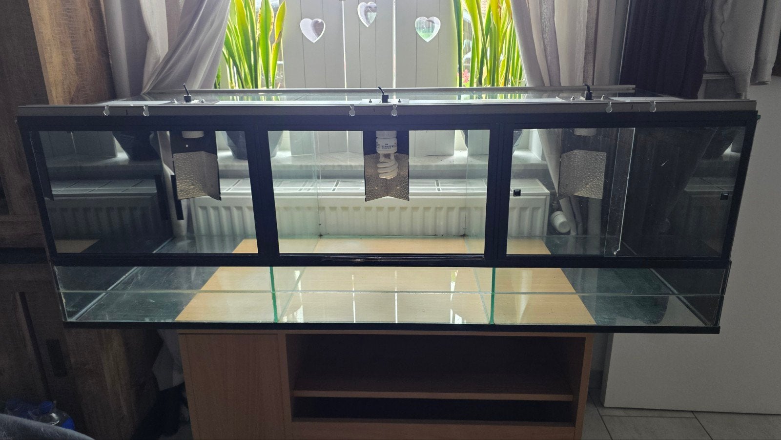 Terrarium 3 en 1, Animaux & Accessoires