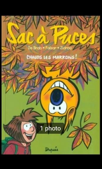 BD Sac à puces N2 (2000), De Brab - Falzar - Zidrou, Enlèvement ou Envoi, Une BD, Comme neuf