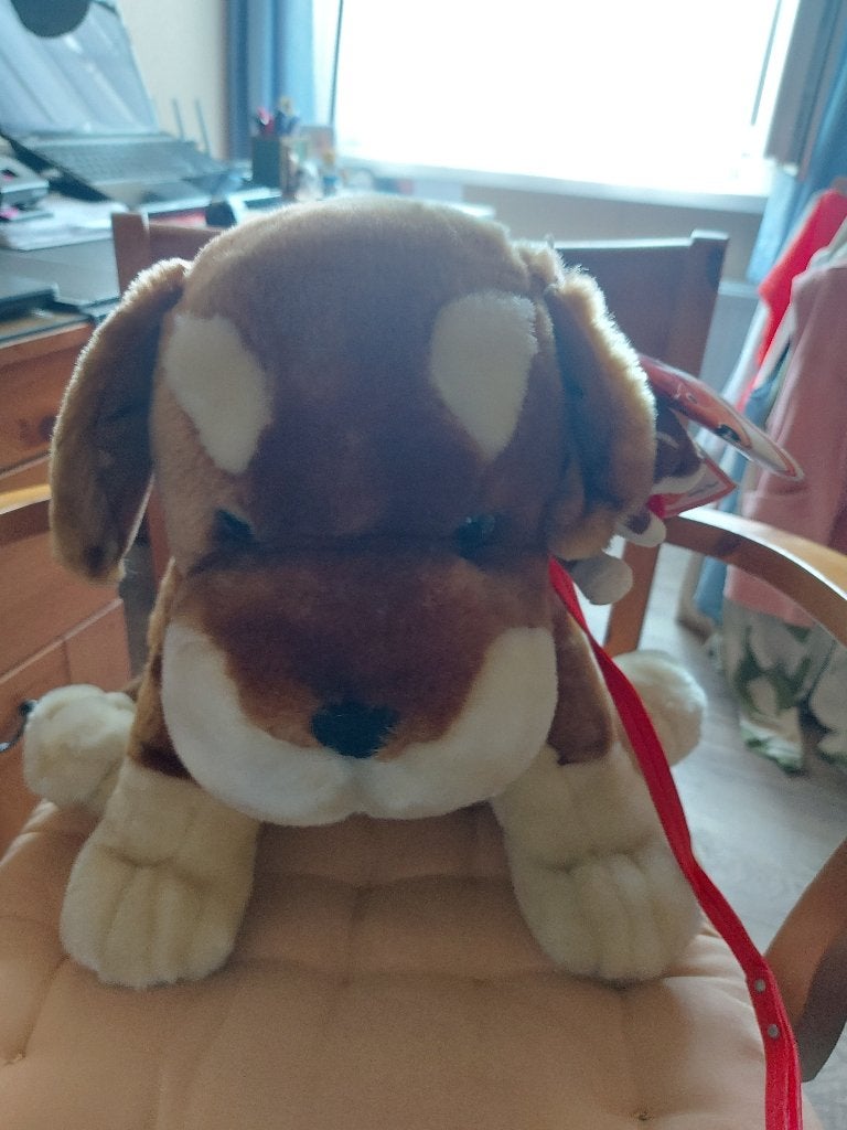 pluche hond, Ophalen, Overige merken, Overige karakters, Nieuw