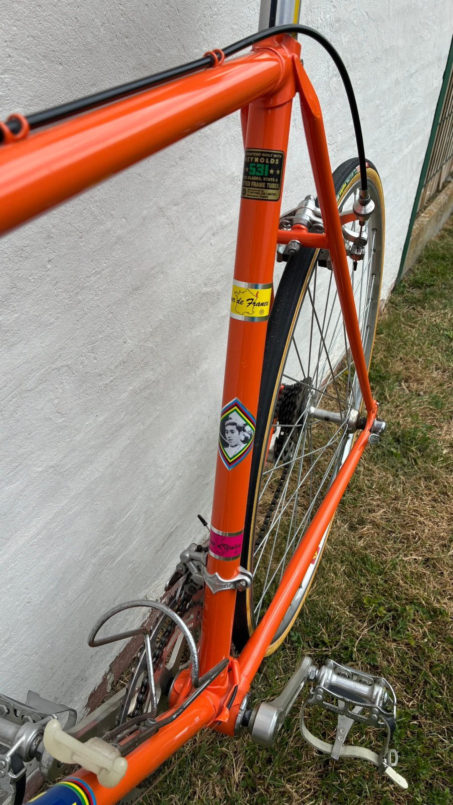 Eddy Merckx molteni retro, Ophalen
