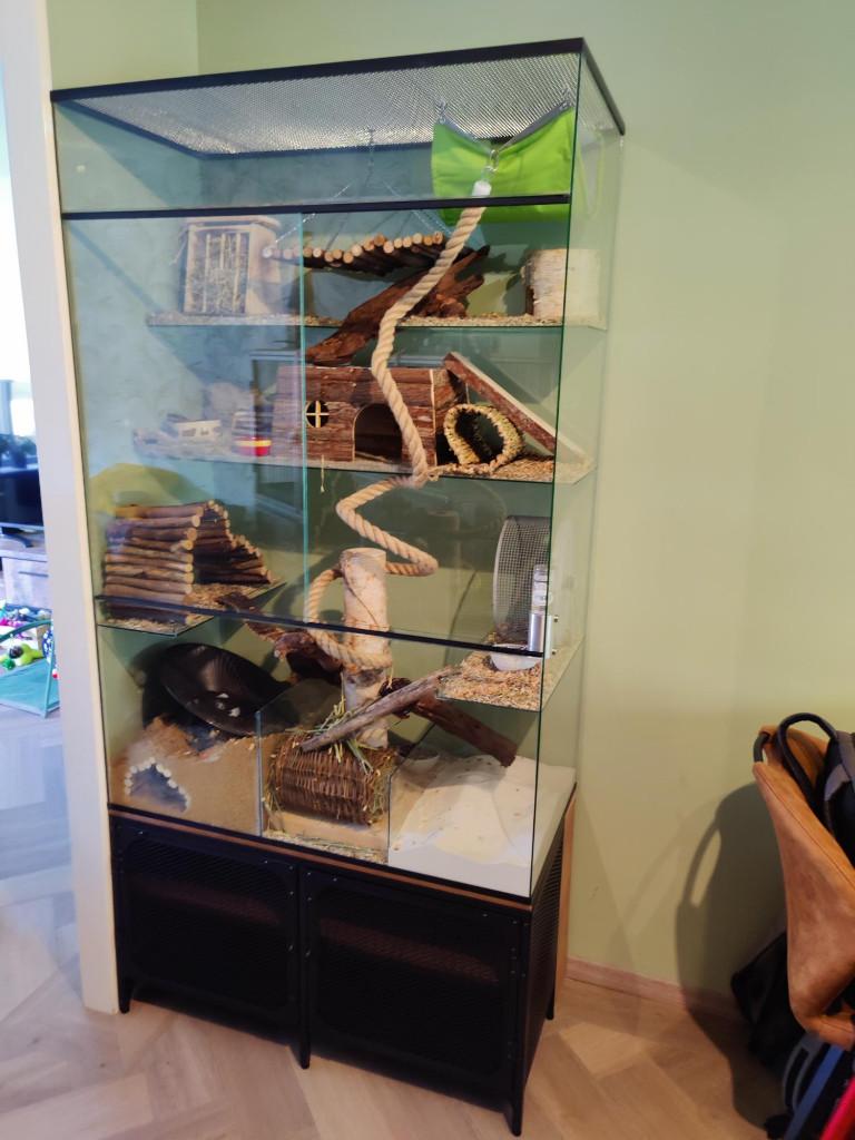 Grote glazen kooi voor chinchilla of degoe, Dieren en Toebehoren, Kooi, Ophalen of Verzenden, 90 cm of meer, Chinchilla