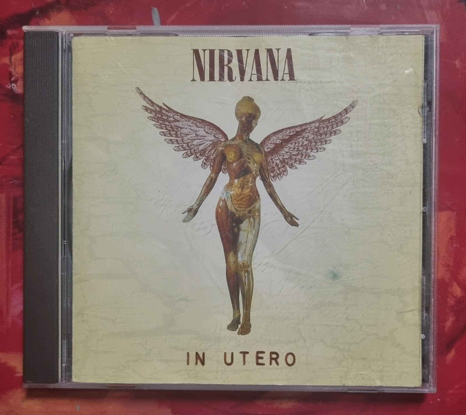 Nirvana, Enlèvement ou Envoi