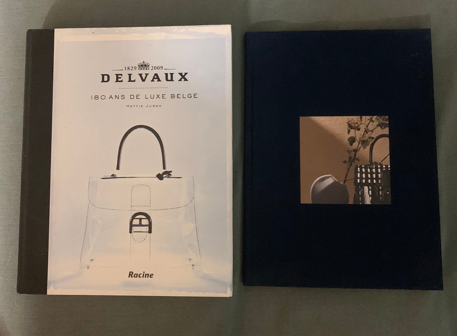 2 livres Delvaux, Bijoux, Sacs & Beauté, Enlèvement ou Envoi, Comme neuf