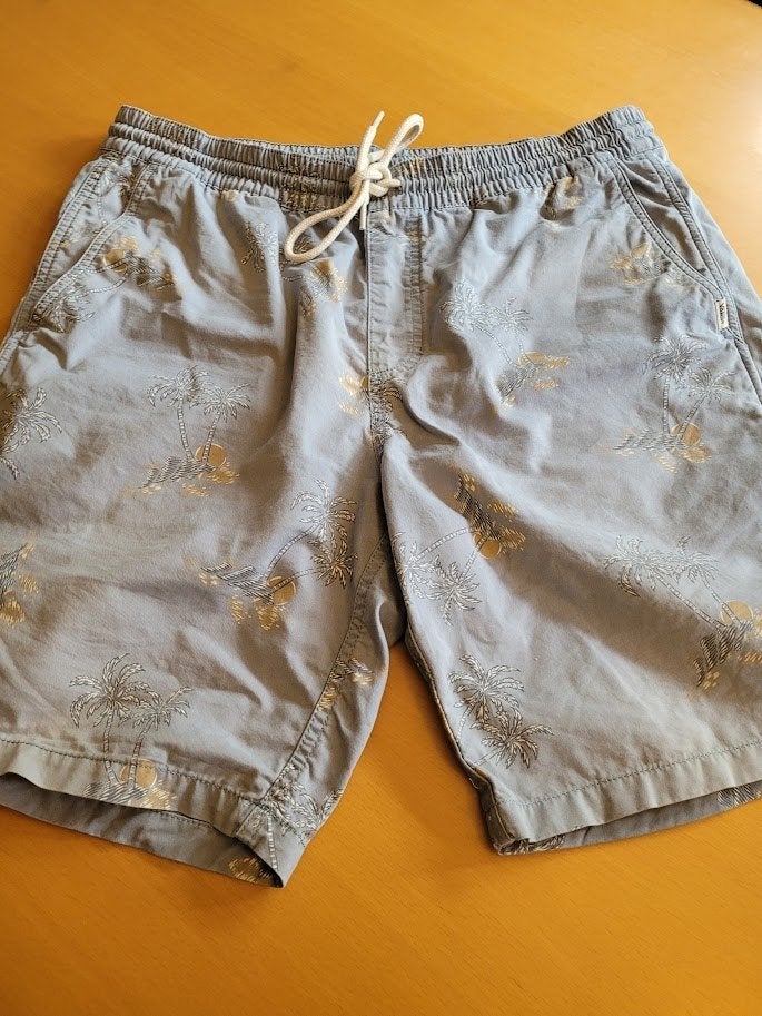 zwemshort Vans, Kleding | Heren, Badmode en Zwemkleding, Maat 52/54 (L), Ophalen of Verzenden, Vans, Zwemshort