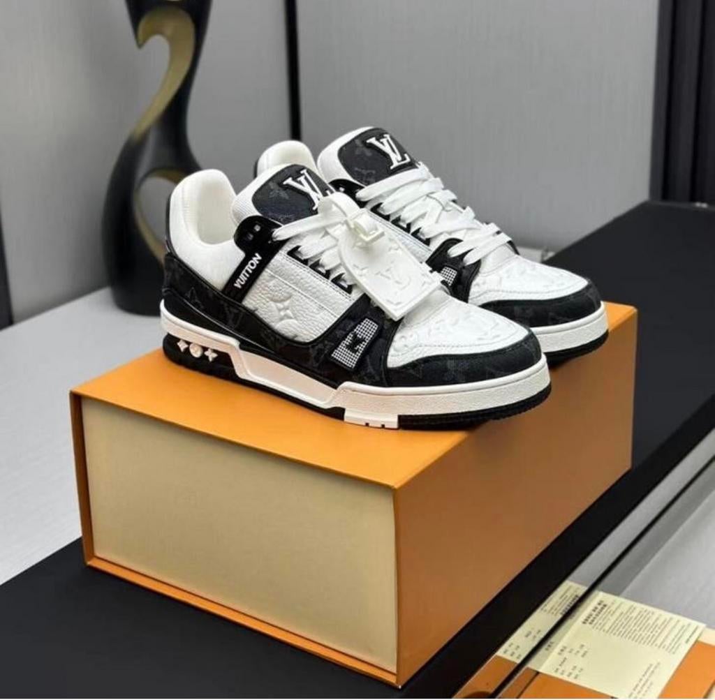 Louis Vuitton schoenen verschillende mateb en kleuren, Ophalen of Verzenden