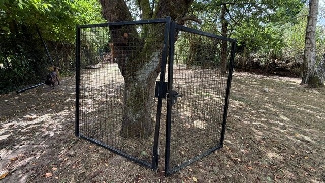 Portail grillagé double porte (2,7 x 1,7m), Ophalen, Gebruikt, 150 tot 200 cm, IJzer