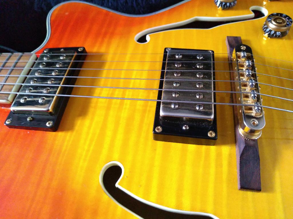 Gitaar Richwood, Muziek en Instrumenten, Ophalen, Gebruikt, Hollow body, Overige merken