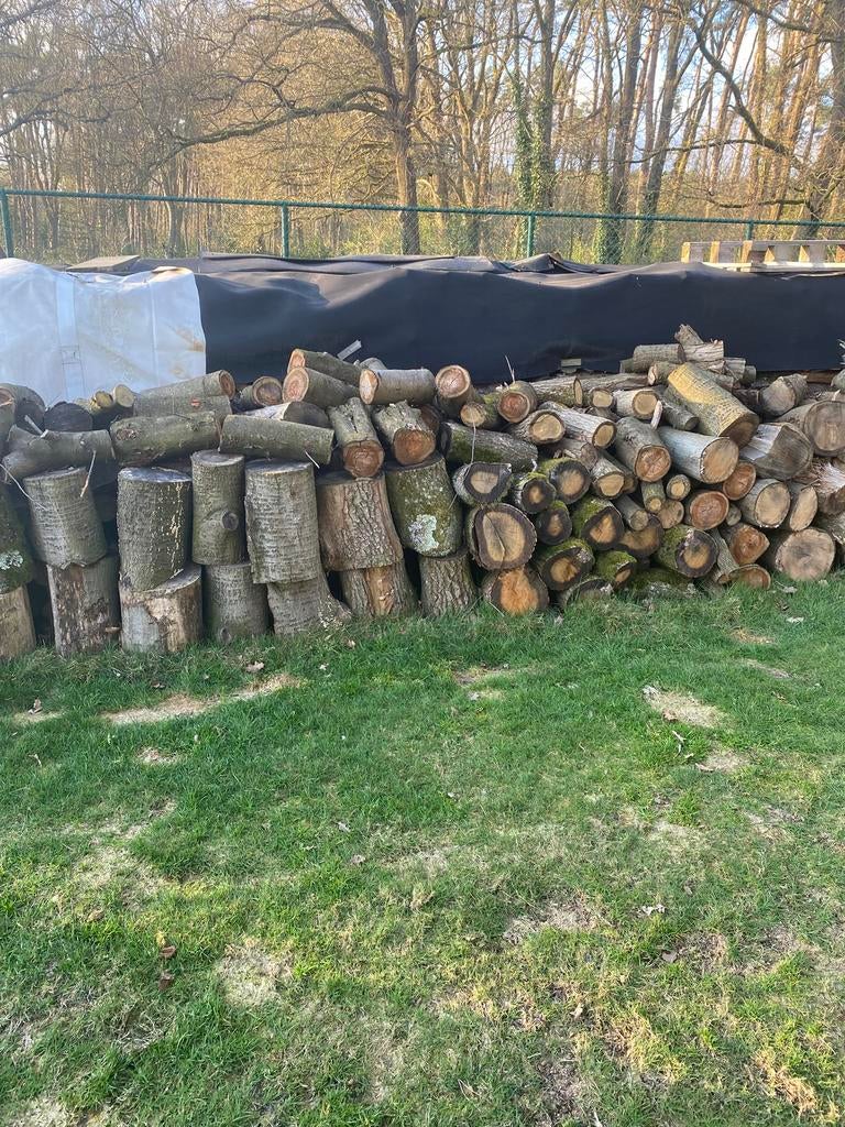 Eik brandhout, 3 tot 6 m³, Ophalen of Verzenden, Eikenhout, Blokken