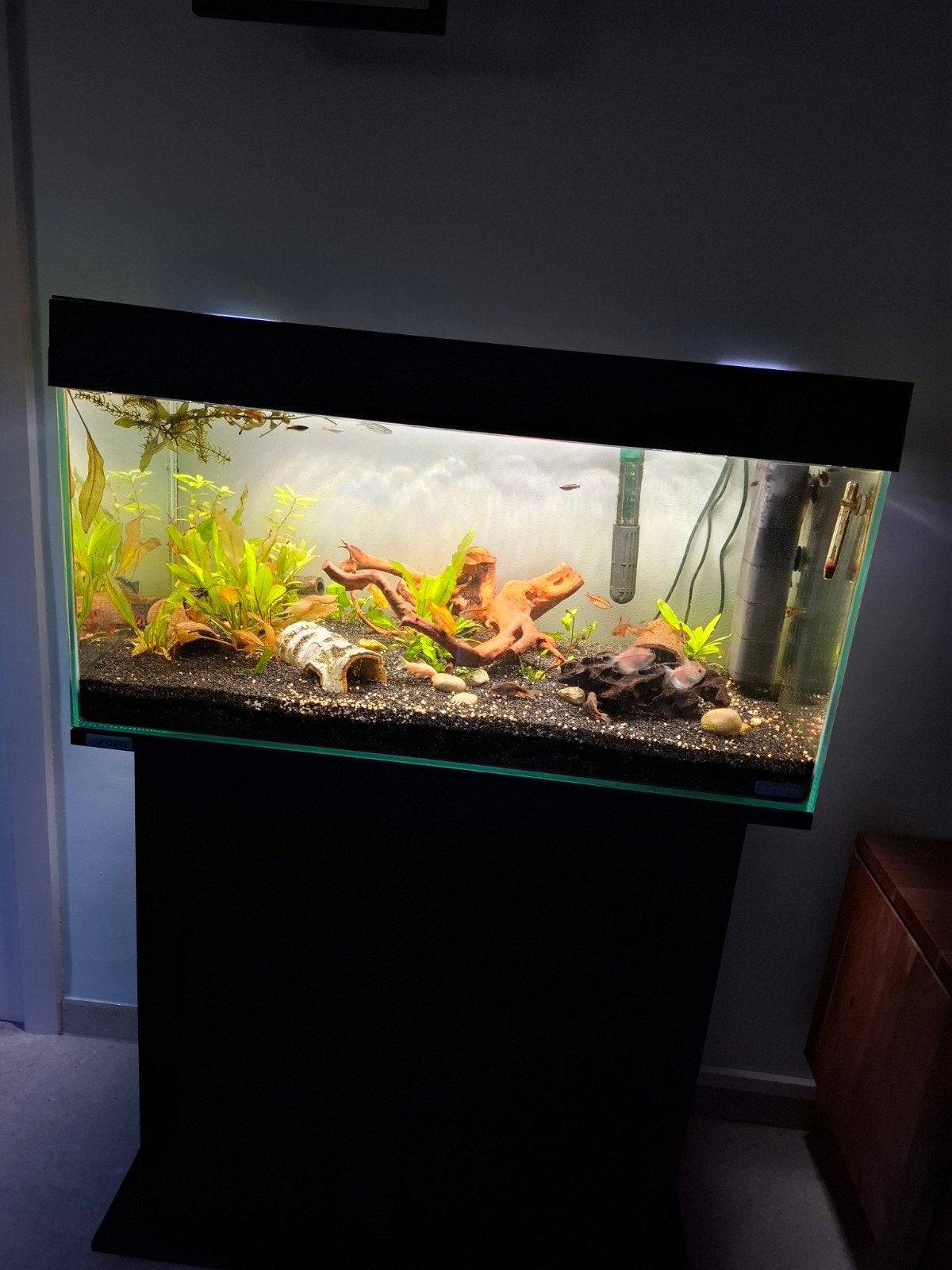 SERRA AQARIUM ALLES INBEGREPEN  128L, Ophalen, Verwarming, Filter