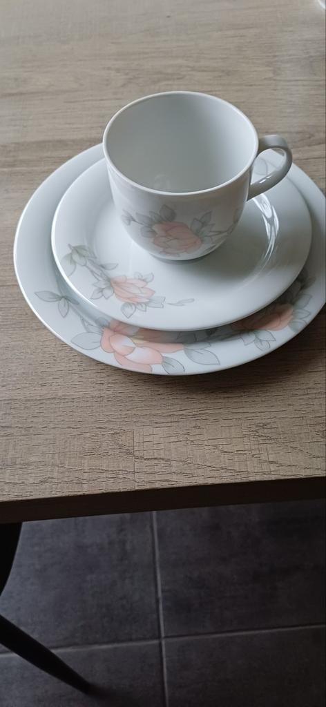 Koffieservies Winterling, Huis en Inrichting, Ophalen, Porselein