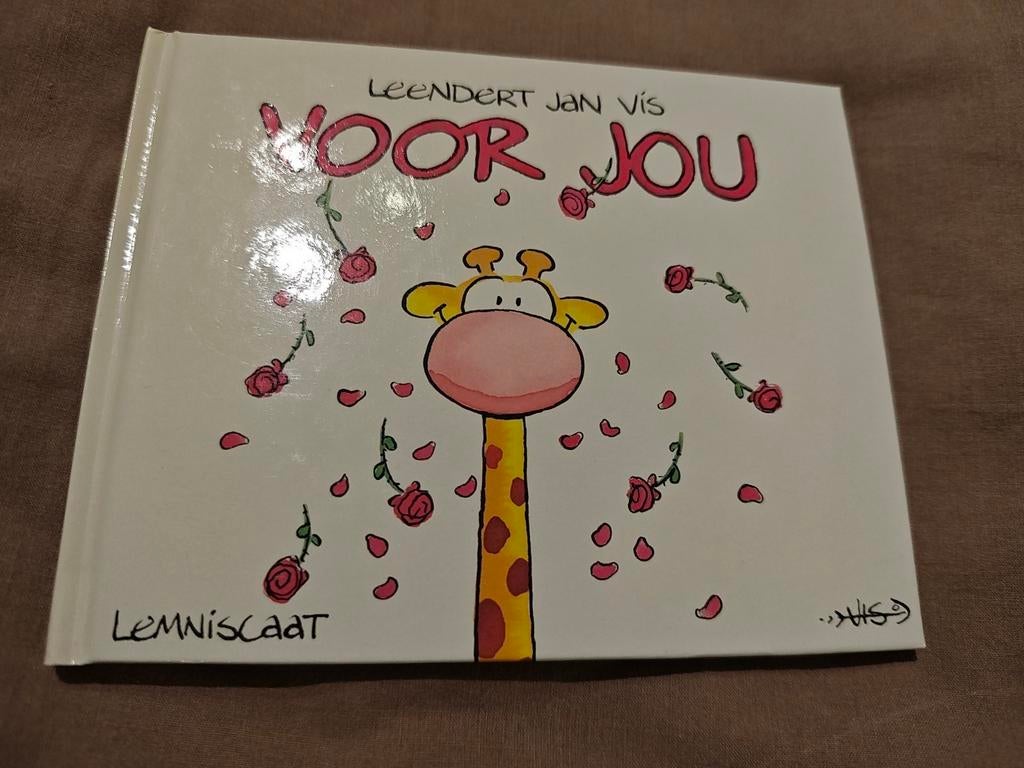 Leendert Jan Vis - Voor jou, Ophalen of Verzenden, Zo goed als nieuw, Leendert Jan Vis