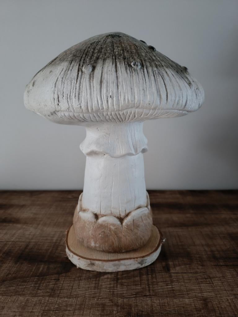Paddestoel, Enlèvement, Comme neuf