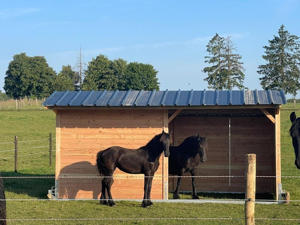 Abri 3x6 m + Paroi frontale en bois de Douglas massif 'neuf', Pâturage, 2 ou 3 chevaux ou poneys