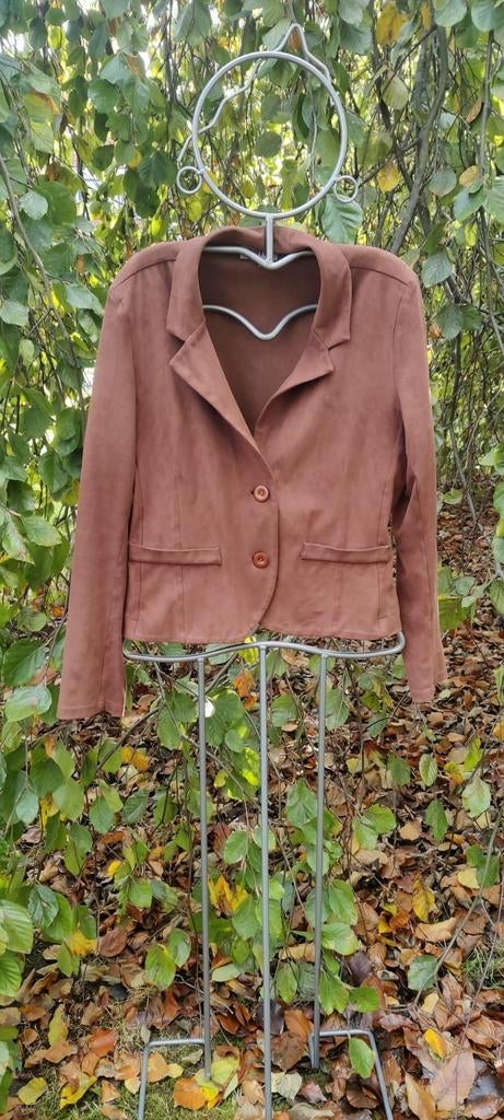 Suede jasje Dotts maat 40, Kleding | Dames, Maat 38/40 (M), Bruin, Dotts, Ophalen of Verzenden