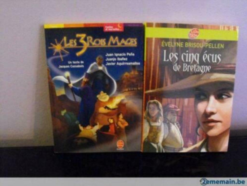 lot de 2 livres Ado, Livres, Enlèvement