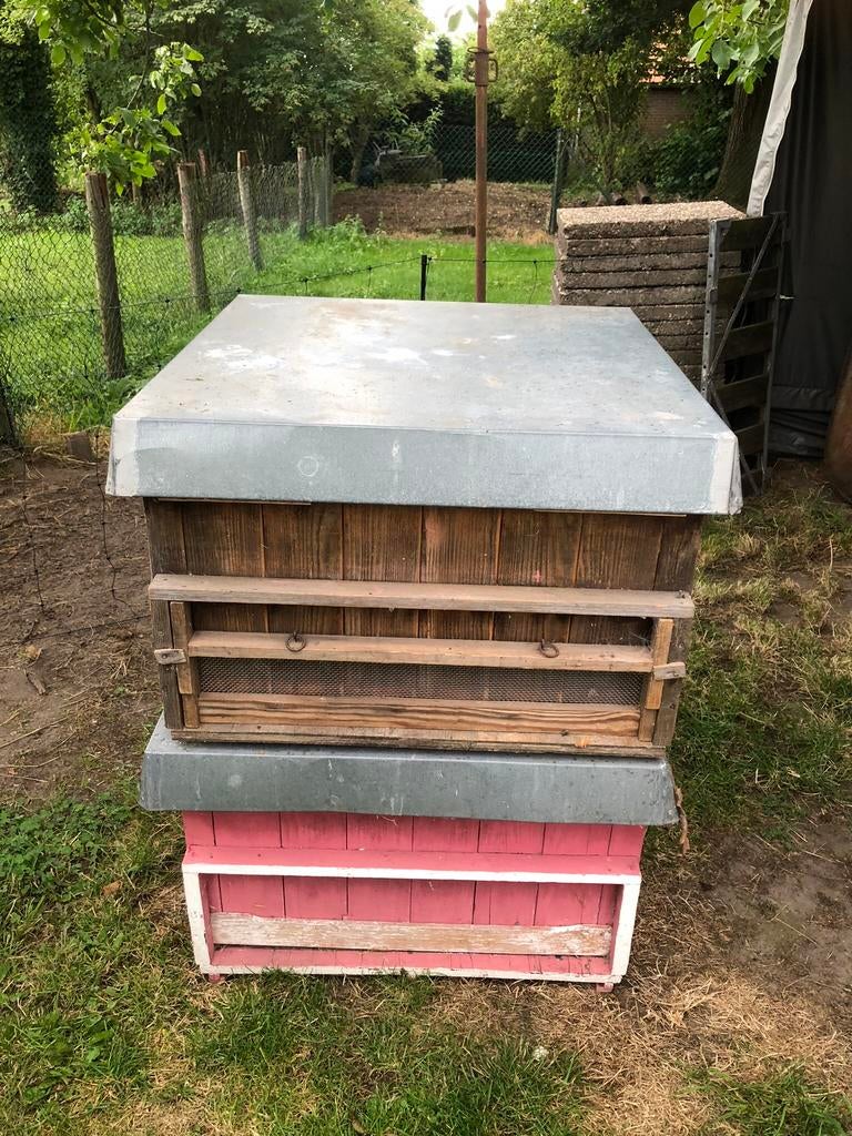 Bijenkasten Golz, Dieren en Toebehoren, Bijen