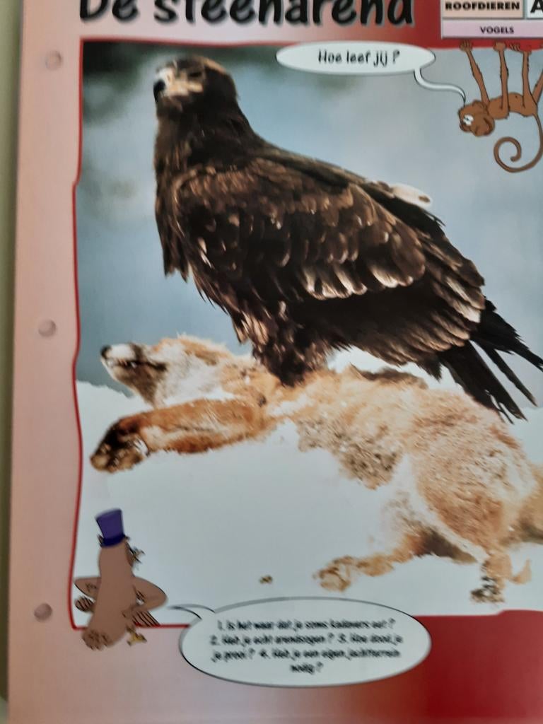 60 Prenten van dieren,zoogdieren,vogels,reptielen ,enz., Verzamelen, Foto's en Prenten, Ophalen of Verzenden, Zo goed als nieuw
