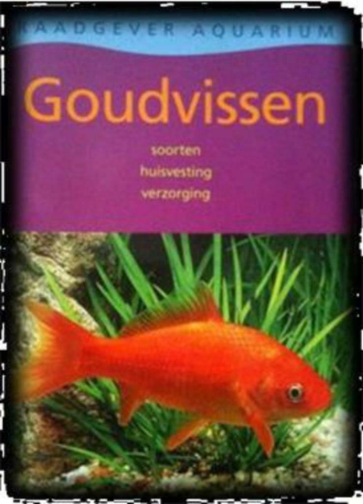 Goudvissen, Peter Stadelmann, Ophalen, Gelezen, Vissen