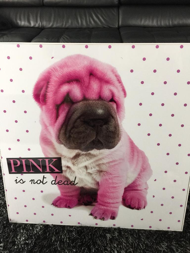 kader met hond "Pink is not dead", Ophalen, Zo goed als nieuw