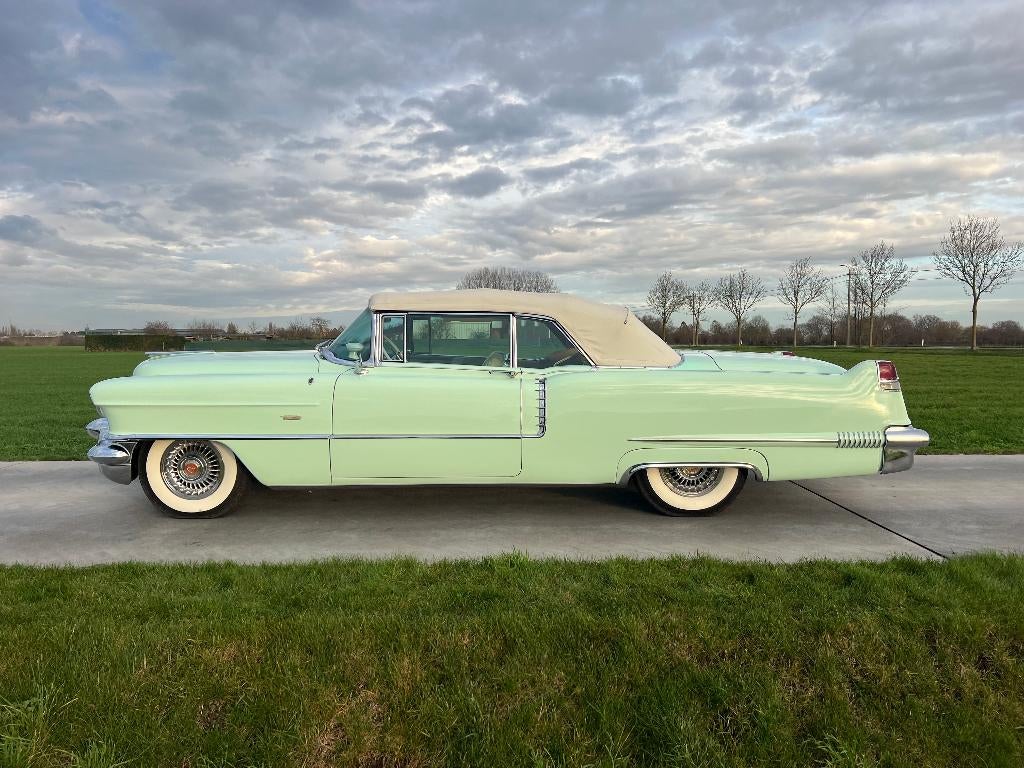 Cadillac Série 62 Cabriolet 1956, Autos, Cadillac, Achat, Entreprise, Cabriolet